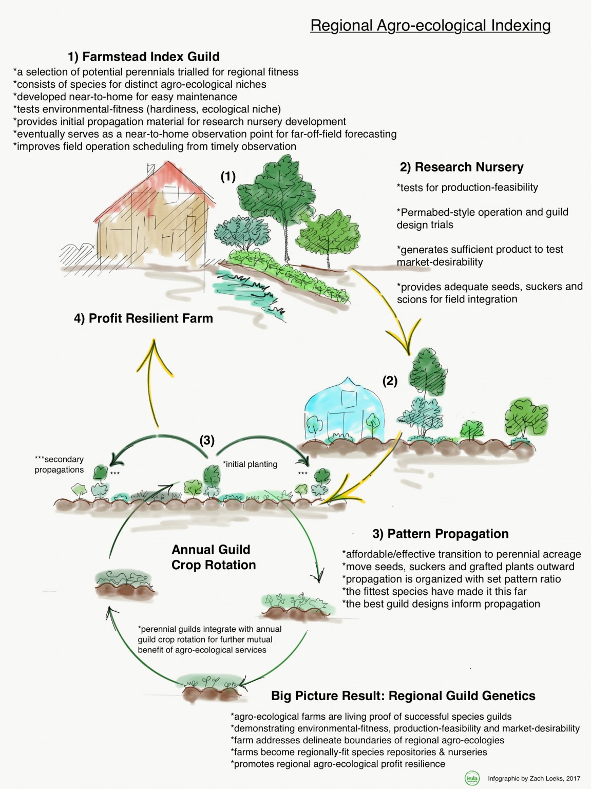 transitioning-to-a-permaculture-market-garden-part-two